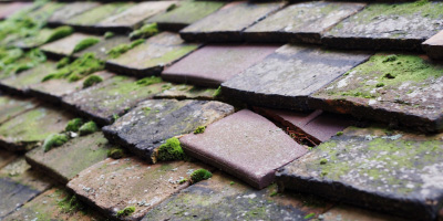 Wimpole roof repair costs